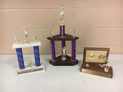 3 Boys Golf trophies